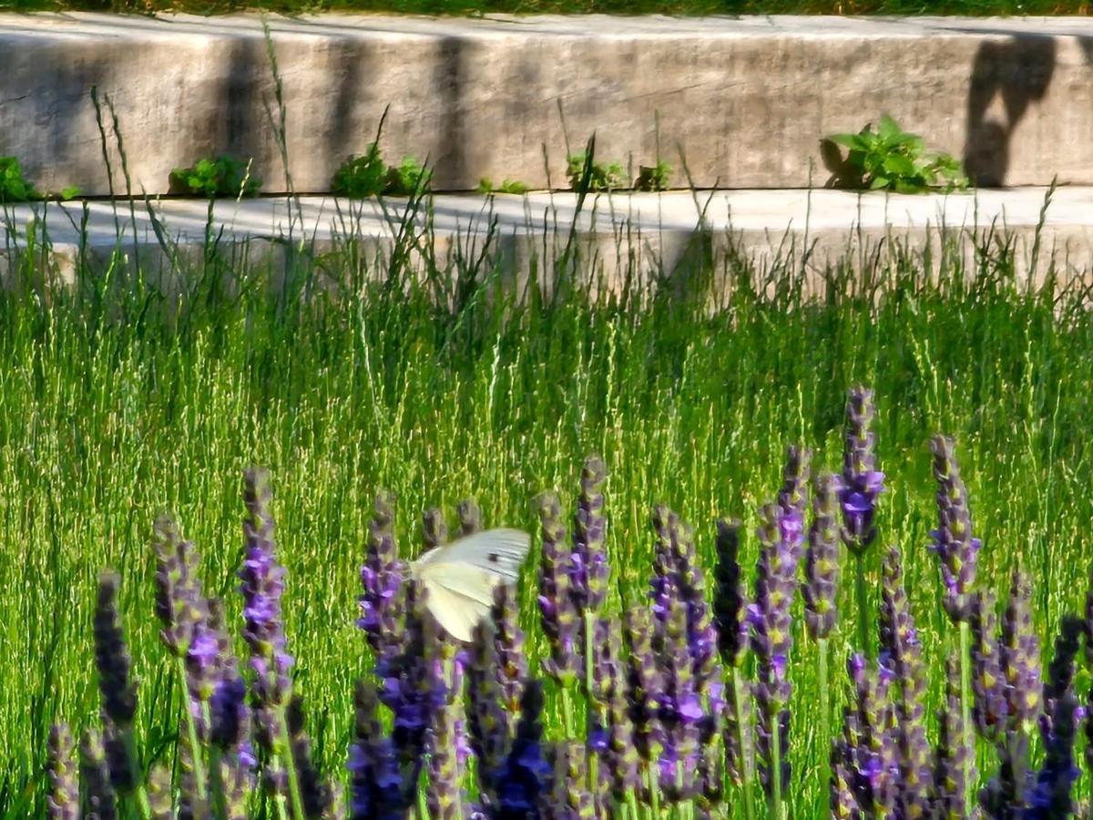 Domaine Slow-Life Thairé Buitenkant foto
