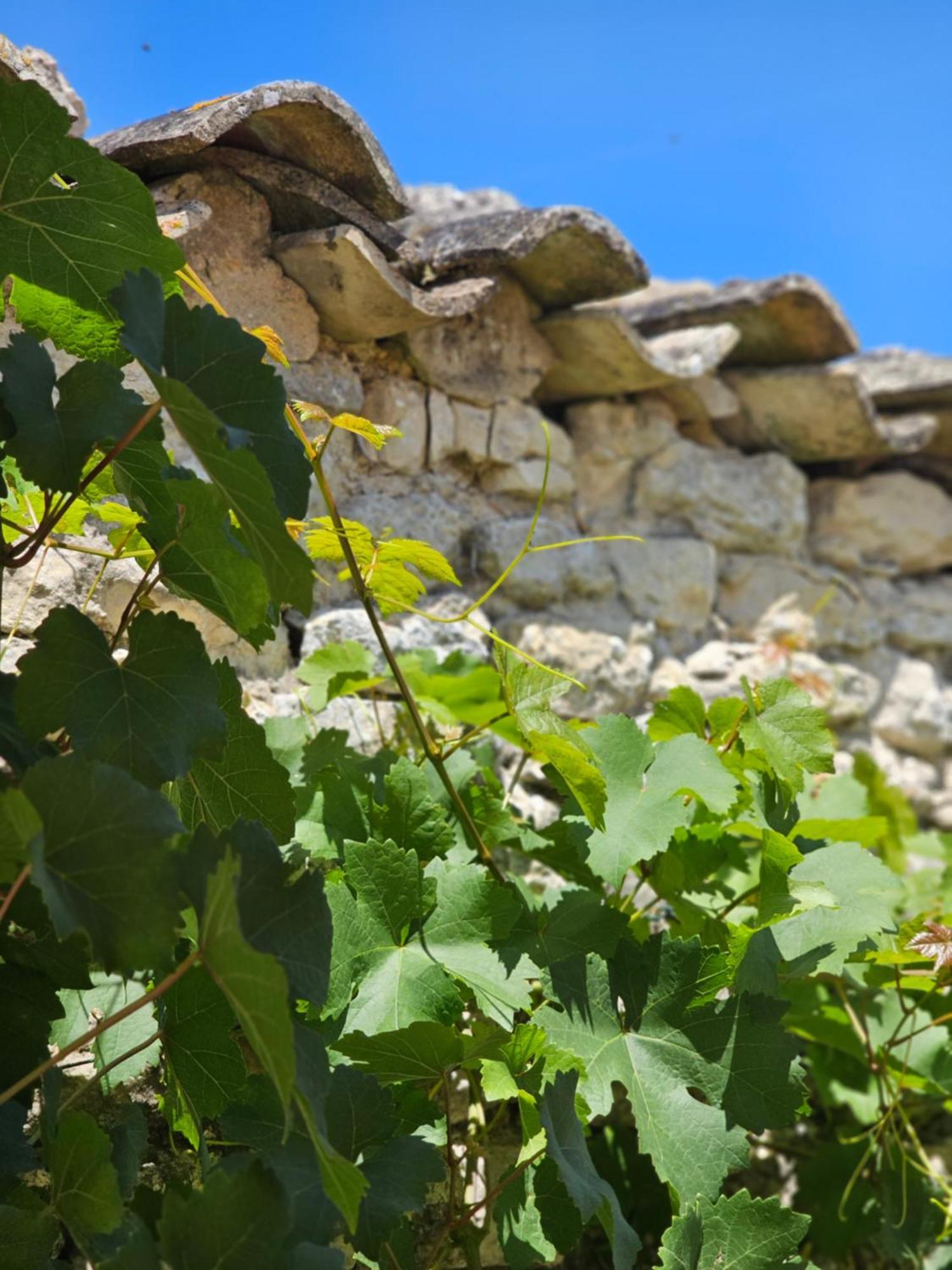 Domaine Slow-Life Thairé Buitenkant foto